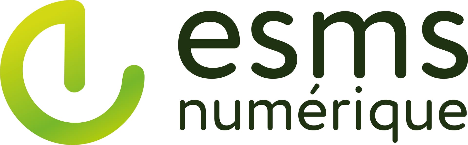 Logo programme ESMS Numérique